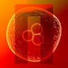 Nuclien Image