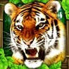 Tiger Simulator Image