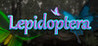Lepidoptera Image