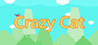 Crazy Cat