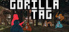 Gorilla Tag Image