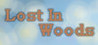 Lost In Woods 2 Image