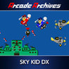 Arcade Archives: Sky Kid DX Image