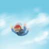 Skydiving Fever Image
