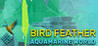 Bird Feather: Aquamarine World Image