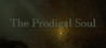 The Prodigal Soul Image
