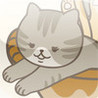 CatchCats Image