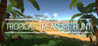 Tropical Treasure Hunt Image