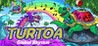 Turtoa: Global Rhythm Image