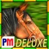 Gallop for Gold Slots Deluxe Image