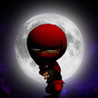 Turkey Ninja Image