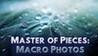 Master of Pieces Jigsaw Puzzle - Macro Photos DLC Image