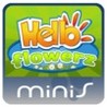 Hello Flowerz Image