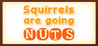Squirrels are going nuts Image
