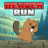 Beaver Run Image