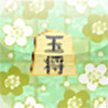 IroIro Shogi Image