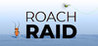 Roach Raid Image