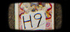 H9 Image