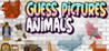 Guess Pictures - Animals