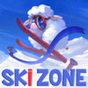 SKI ZONE Image