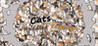 Cats Huddled Together Image