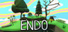 ENDO Image