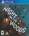 Night in the Woods