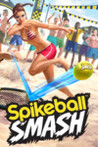 Spikeball Smash Image