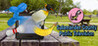 Salamander County Public Television Image