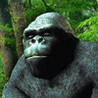 Monkey Arm Wrestling Image