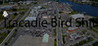 Tracadie Bird S***