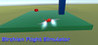 Birchian Flight Simulator Image