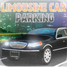 Limousine City Parking 3D Image