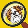 Search & Find - Hidden Objects Image