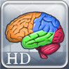 More Brain Exercise with Dr. Kawashima Image