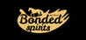 My Horse: Bonded Spirits Image