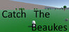 Catch The Beaukes Image