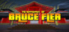 The Adventures of Bruce Flea