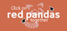 Click on red pandas together