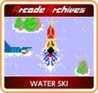 Arcade Archives: Water Ski