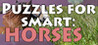 Puzzles for smart: Horses Image