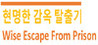 Wise Escape From Prison