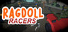 Ragdoll Racers Image