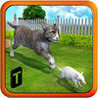 Crazy Cat vs. Mouse 3D Image