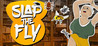 Slap The Fly Image