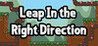 Leap In The Right Direction