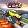 Extreme Car Driver Image