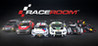 RaceRoom Racing Experience Image