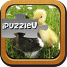 iPuzzleU Baby Animals Image