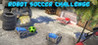 Robot Soccer Challenge Image